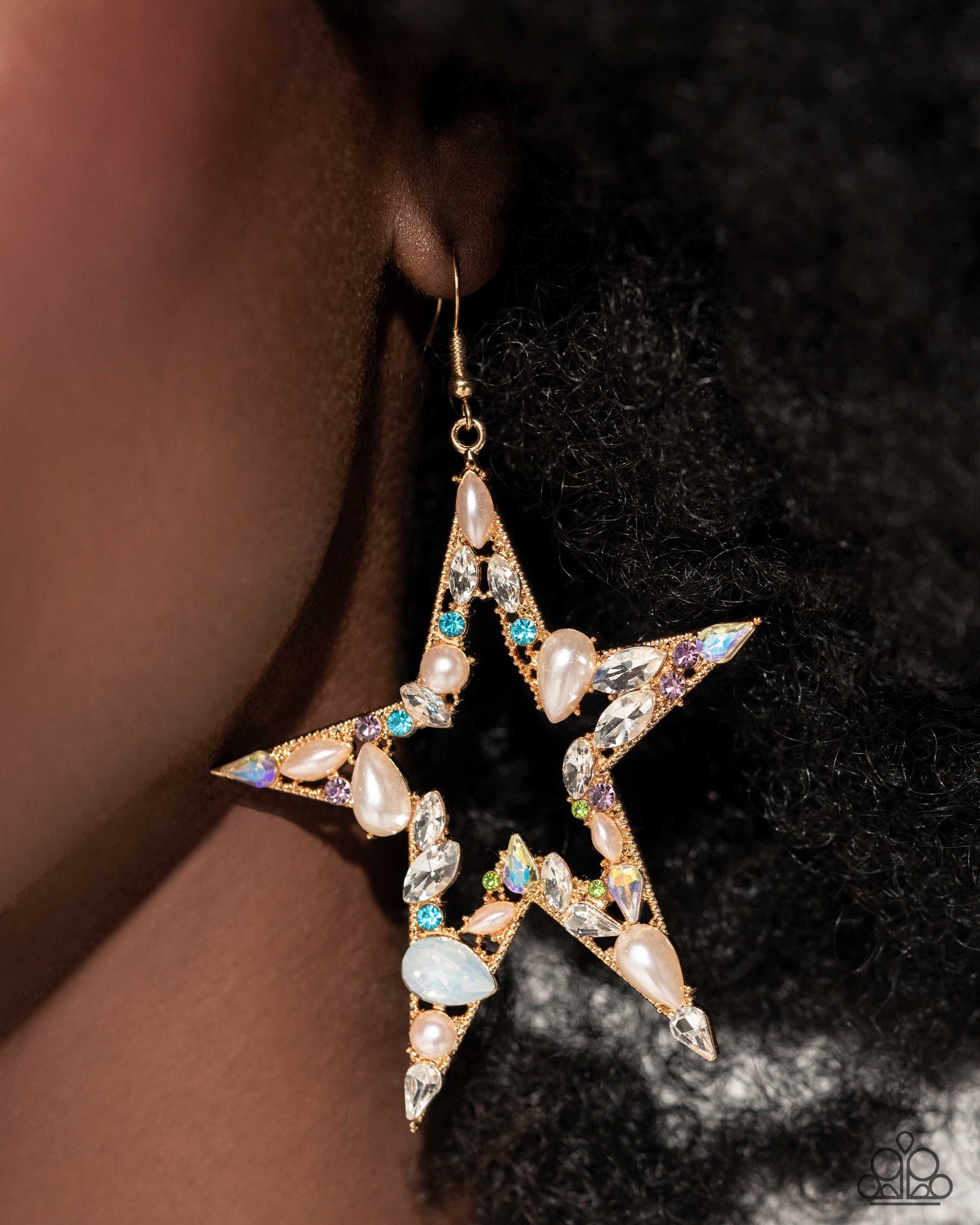 Paparazzi Accessories: Variegated Value - Multi Earring