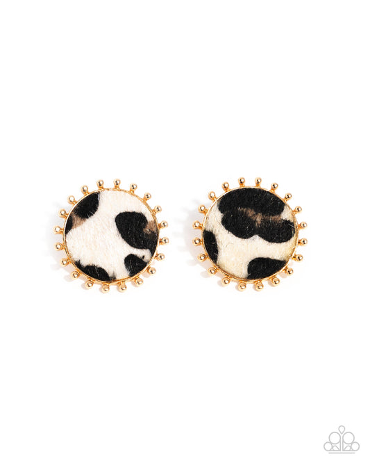 Paparazzi Accessories: Cowhide Couture - Brown Earring