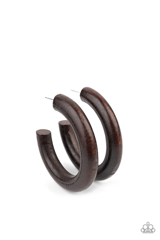 Paparazzi Accessories: Woodsy Wonder - Brown Earring