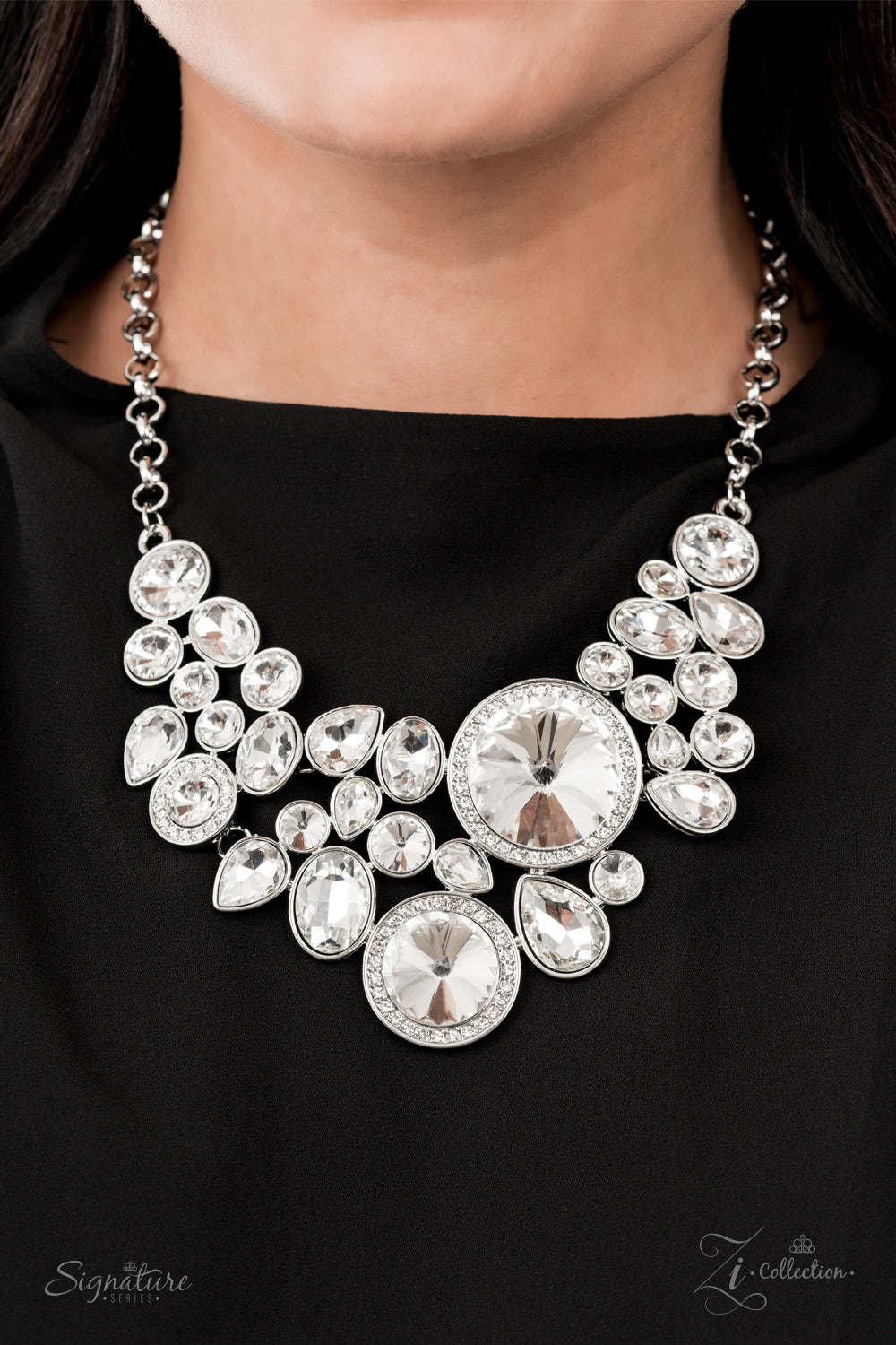 Paparazzi Accessories: The Danielle Zi Necklace